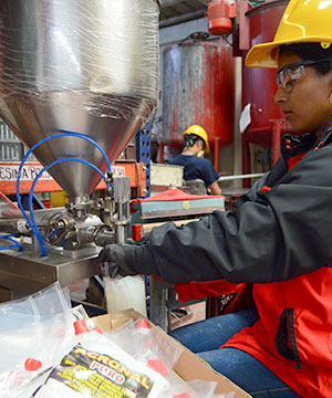 produccion de productos para la construccion